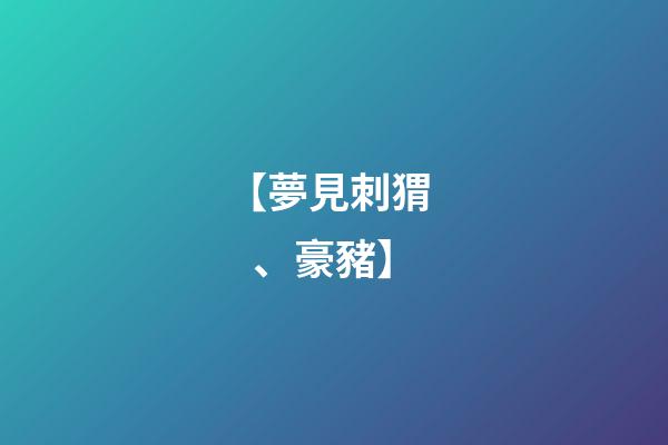 【夢見刺猬、豪豬】